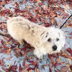 Meet your Posher, Jamie